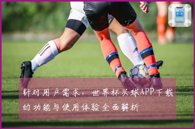 针对用户需求，世界杯买球APP下载的功能与使用体验全面解析