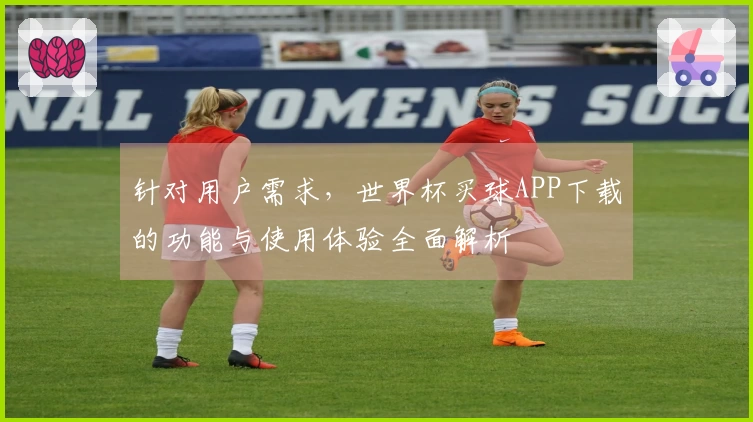 针对用户需求，世界杯买球APP下载的功能与使用体验全面解析