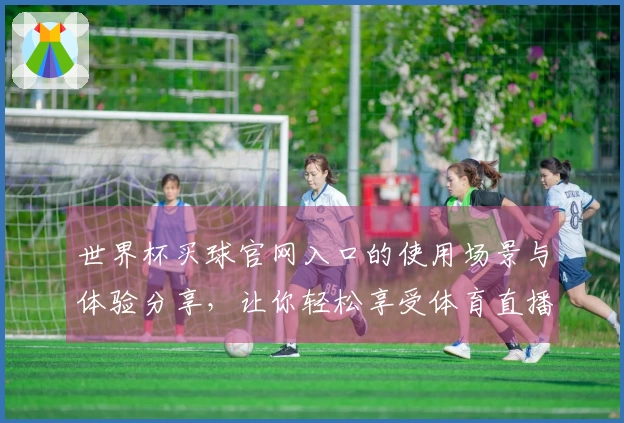 世界杯买球官网入口的使用场景与体验分享，让你轻松享受体育直播乐趣