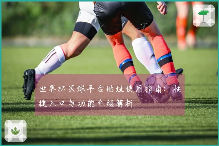 世界杯买球平台地址使用指南：快捷入口与功能介绍解析